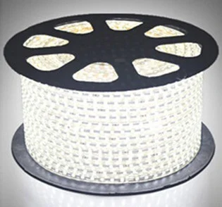 استریپ لایت شلنگی